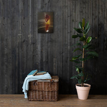 Load image into Gallery viewer, Cocoa Bean Canvas